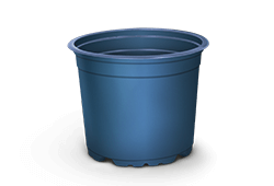 PPblue_TEKU