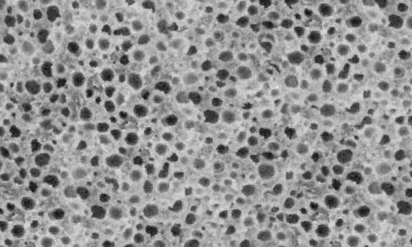 csm_Teaser_Mucell_d745281946